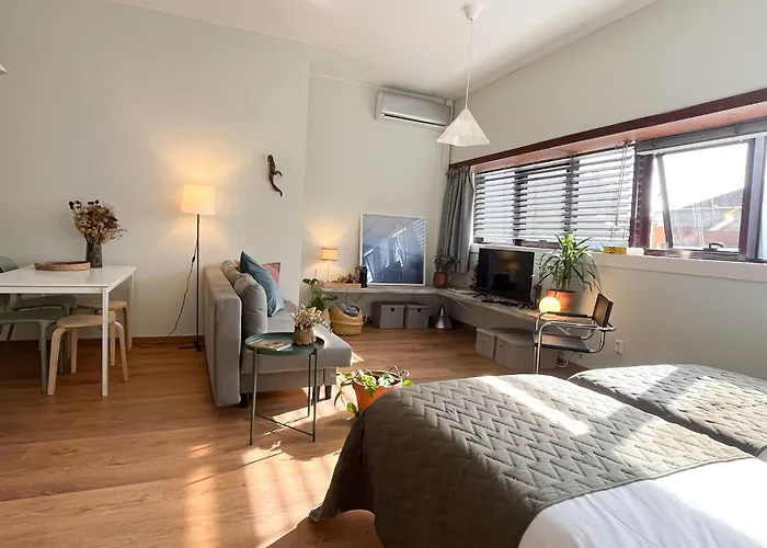 Casa Sophia 公寓 波尔图