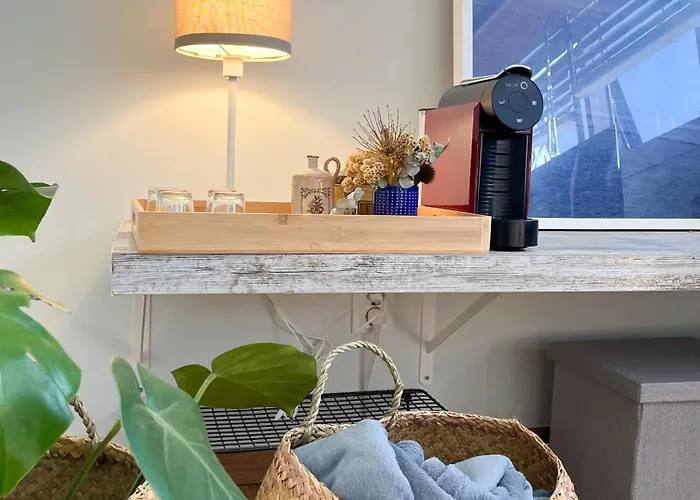 Casa Sophia 公寓 波尔图